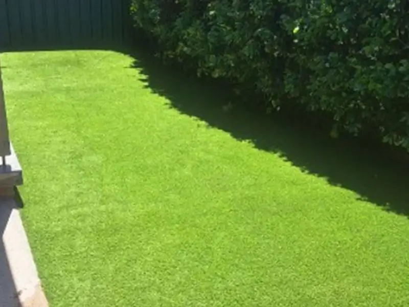 after grass installation Blacktown
