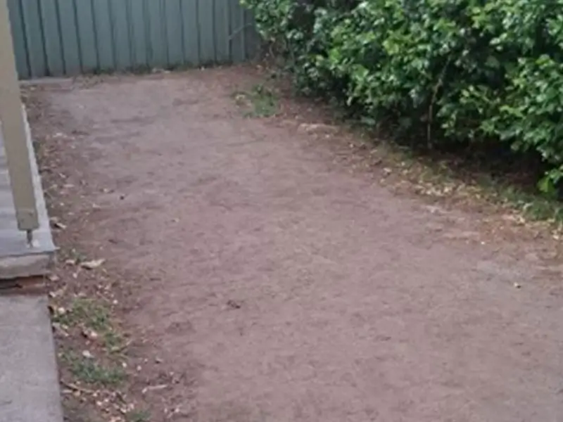 Before backyard grass installation