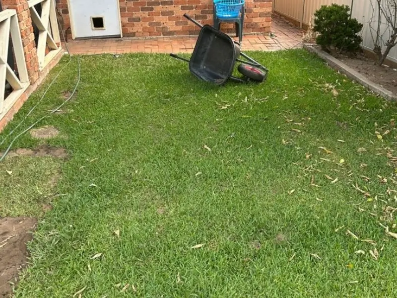 before basketball court grass installation