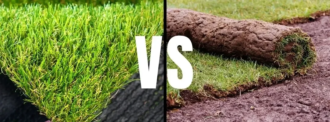 Artificial Grass vs Real Turf: Which is Better for New Homes in Western Sydney