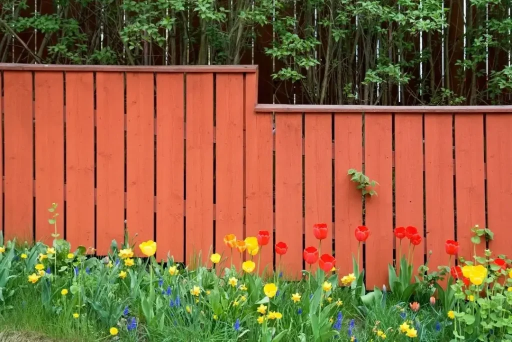 flowers along boundary fence