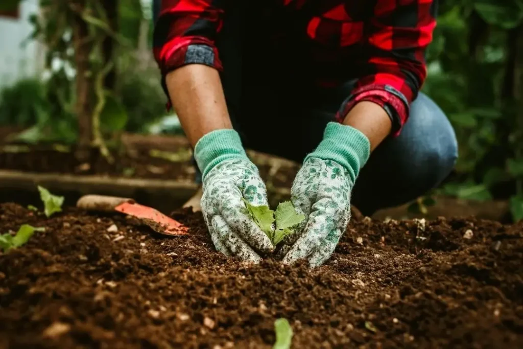 gardening in clay soil