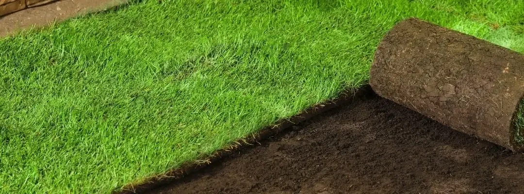Can You Turf on A Sloping Yard in Western Sydney?