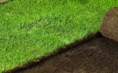 Can You Turf on A Sloping Yard in Western Sydney?