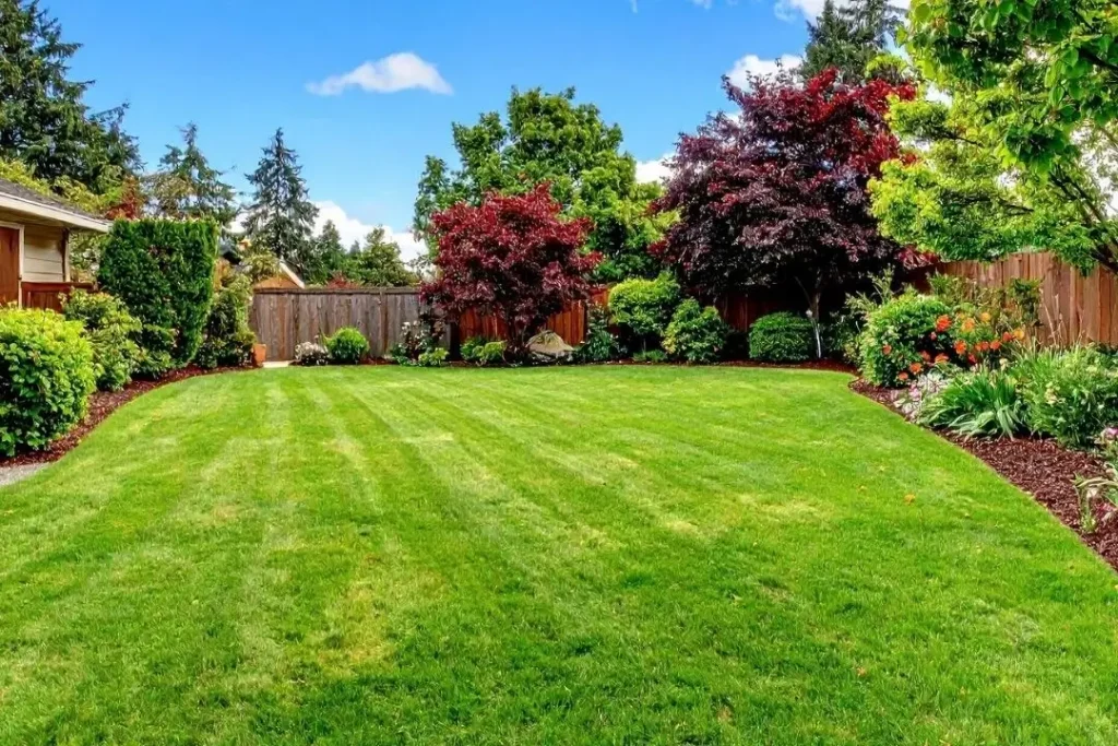 lush landscaped backyard
