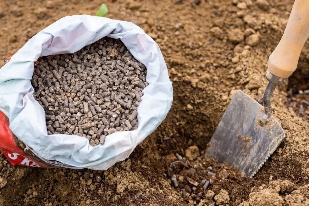 organic soil fertiliser for soil
