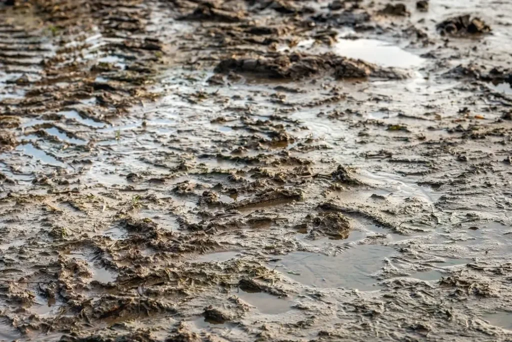 soaked clay soil