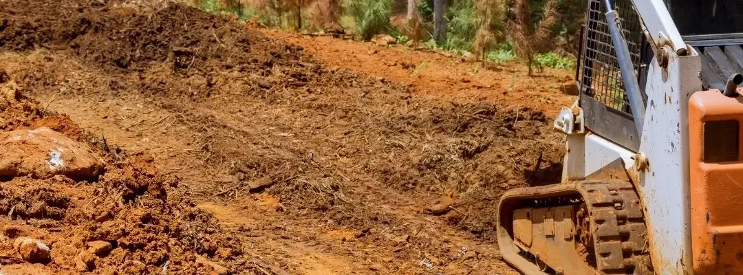 Clay Soil in Western Sydney: Creating Better Conditions for Lawns, Gardens, and Trees