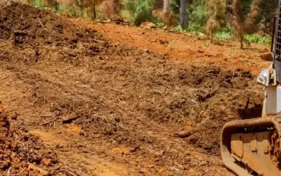 Clay Soil in Western Sydney: Creating Better Conditions for Lawns, Gardens, and Trees