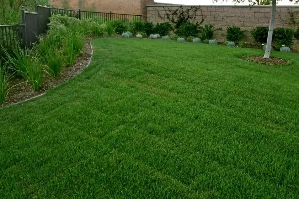 green turf on a sloped yard