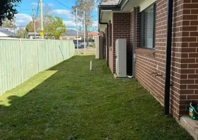 buffalo grass installation Seven Hills