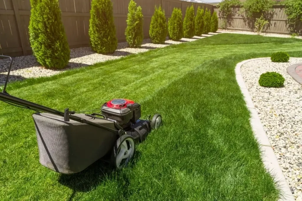 mowing overgrown lawn