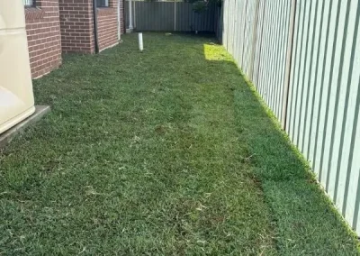 turfing project in Blacktown